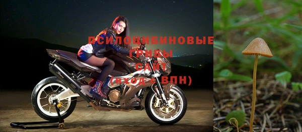 синтетический гашиш Белокуриха