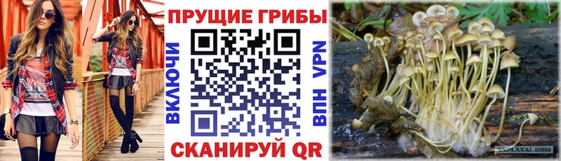 Галлюциногенные грибы GOLDEN TEACHER  купить наркотик  Билибино 